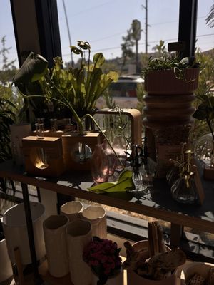Creature's Plants & Coffee by null