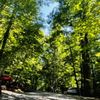 Black Forest Family Camping Resort gift card