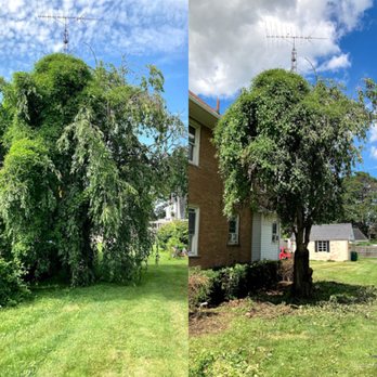 Simple Simon Maintenance - the front of a house with a tree in the yard - Handyman Near Me