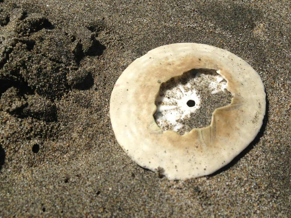Rock Beach
