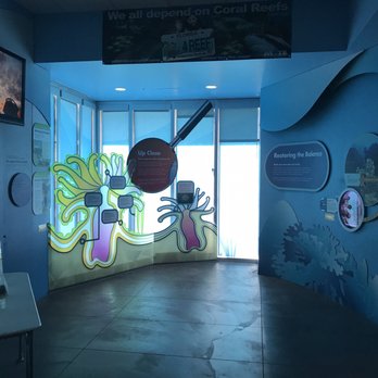 Florida Keys Eco-Discovery Center - Museums Near Me - Key West, Florida