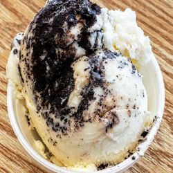 Nedley's Ice Cream & Coffee Cafe - NSA Fudge Swirl at Nedley's