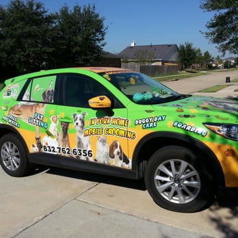 Angel Pets - This lady does everything! My old schnauzer is so happy and the old kitty is about to be as well :D #lifesaver - Pet Groomers Near Me - Houston, Texas