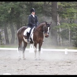 Aering Green Equestrian Center