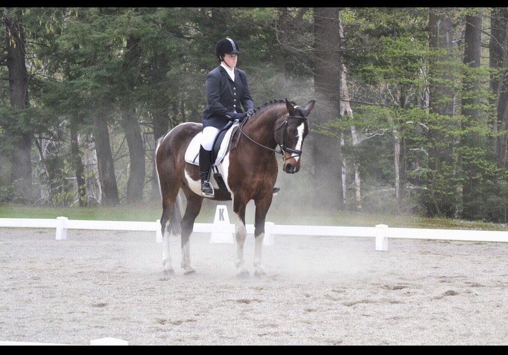 Aering Green Equestrian Center - equestrian in Castleton, NY
