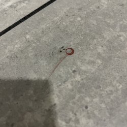 Meiners Market - Blood