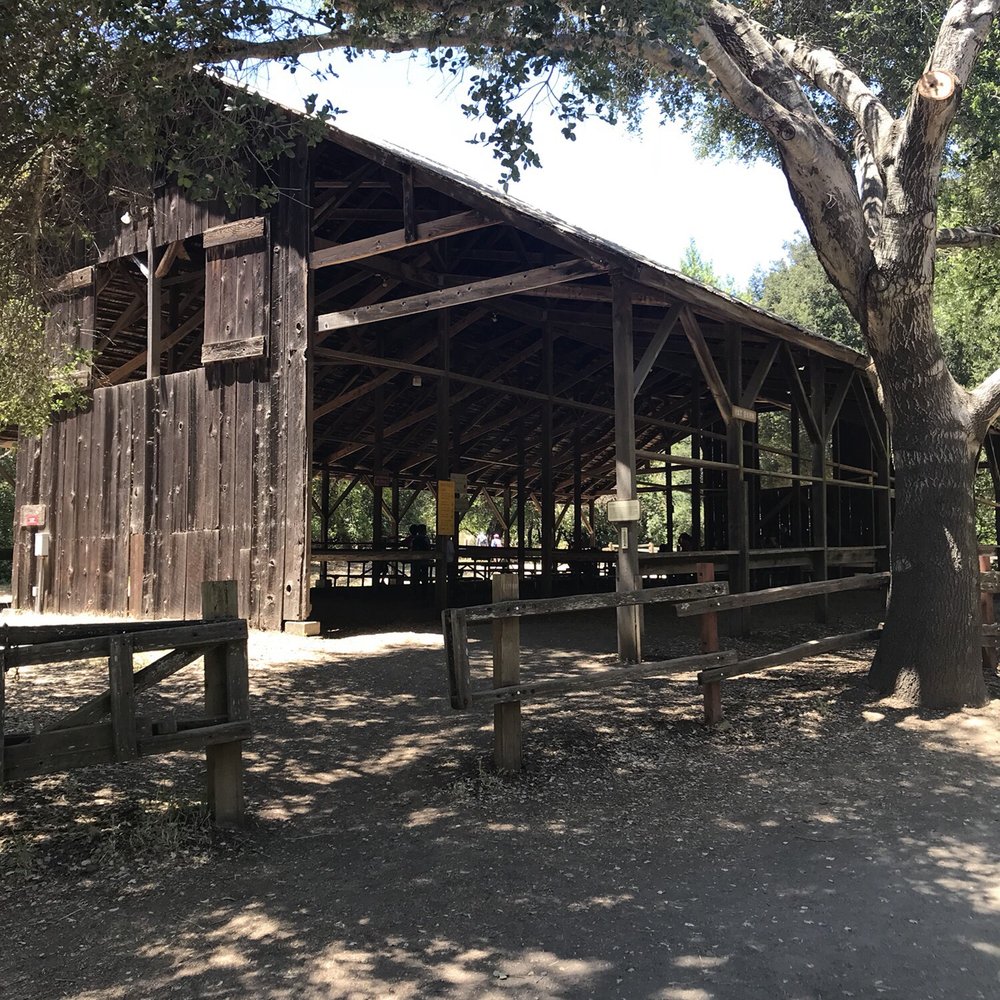 Deer Hollow Farm - Kids Activities Near Me - Cupertino, California