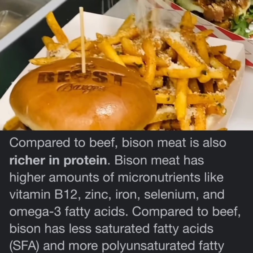The Beast Burger - Burgers Near Me - Los Angeles, California The Beast Burger - Burgers Near Me - Los Angeles, California
