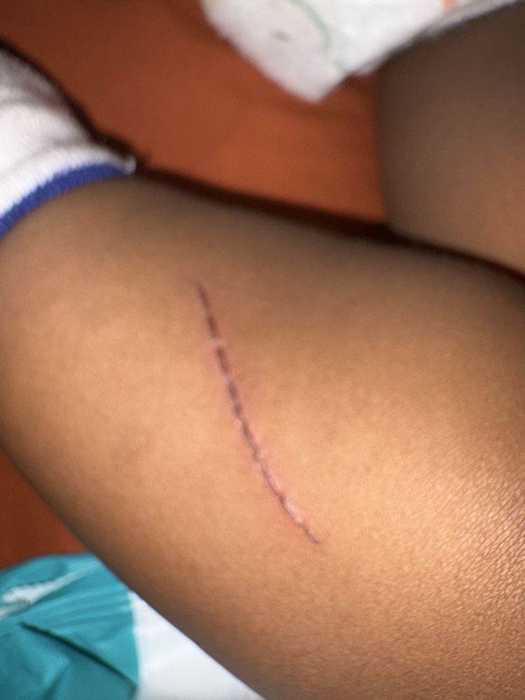 My Treehouse Early Development Center - childcare center in Long Island City, NY