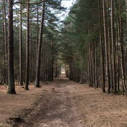 Ash Ranges Wood