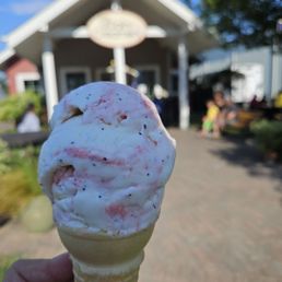 Homemade Ice Creams