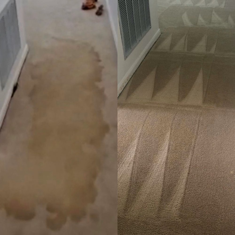 MAVERICK CLEANING Columbus, Ohio Carpet Cleaning Phone Number Yelp