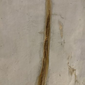 Hastings Park - Brown stuff coming out of mural wall~ - Parks Near Me - Vancouver, British Columbia