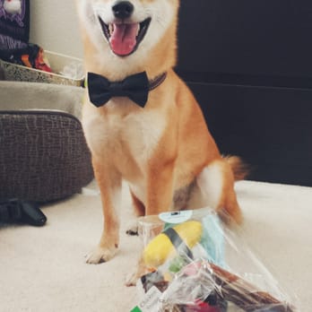 Biscuits Pet Boutique - pile of goodies all from biscuits! - Pet Stores Near Me - San Jose, California