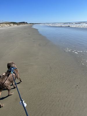 Kiawah Beachwalker Park by null