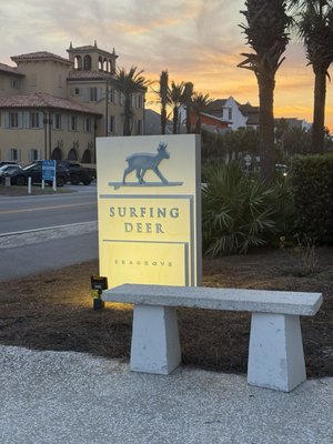 Surfing Deer by null