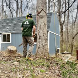 Arbor West Tree Service