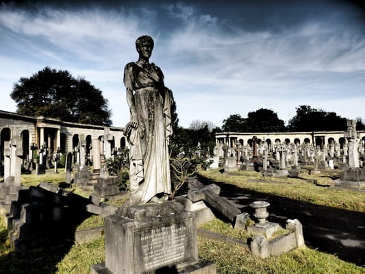 Brompton Cemetery by null