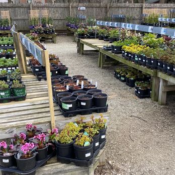 The Growing Place Garden Center - Nurseries & Gardening Near Me - Naperville, Illinois The Growing Place Garden Center - Nurseries & Gardening Near Me - Naperville, Illinois