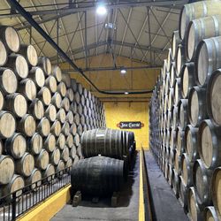 Mundo Cuervo - Storage barrels