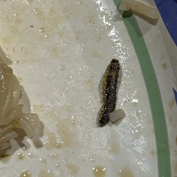 Long Feng - Worm in my mei fun - Chinese Near Me - Round Lake Beach, Illinois Long Feng - Worm in my mei fun - Chinese Near Me - Round Lake Beach, Illinois