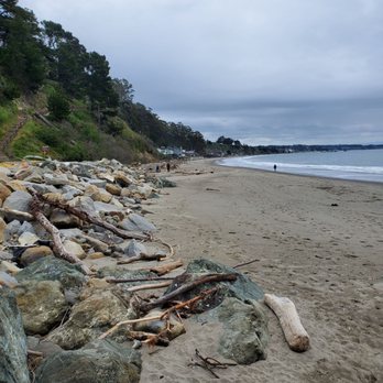 New Brighton State Beach - Potbelly Beach to the left - Parks Near Me - Capitola, California New Brighton State Beach - Potbelly Beach to the left - Parks Near Me - Capitola, California