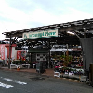 ナフコツーワンスタイル宗像店 17 Photos 光岡559 1 宗像市 福岡県 Japon Numero De Telephone Yelp