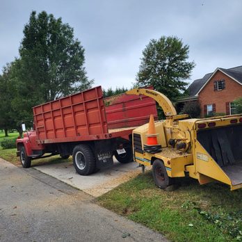 Antonio's Tree Service - Tree Services Near Me Antonio's Tree Service - Tree Services Near Me
