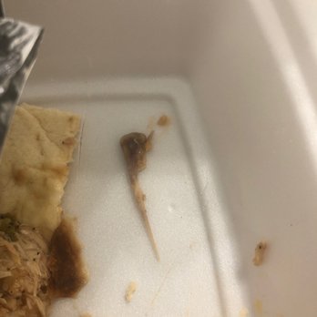 Chacho's - Bone - Tex-Mex Near Me - San Antonio, Texas