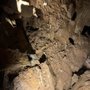 Photo of Indiana Caverns
