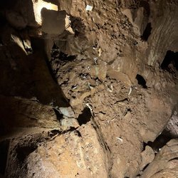 Indiana Caverns
