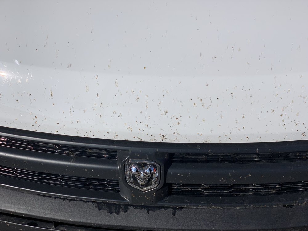 BUBBLE EXPRESS CARWASH 85 Photos & 143 Reviews 2711 Del Amo Blvd