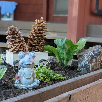 Yardly - a wooden planter with pine cones and plants - Landscaping Near Me Yardly - a wooden planter with pine cones and plants - Landscaping Near Me