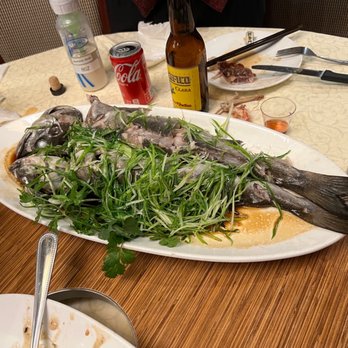 Koi Palace - Sea bass - Dim Sum Near Me - Milpitas, California Koi Palace - Sea bass - Dim Sum Near Me - Milpitas, California