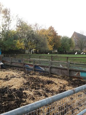 Hackney City Farm by null