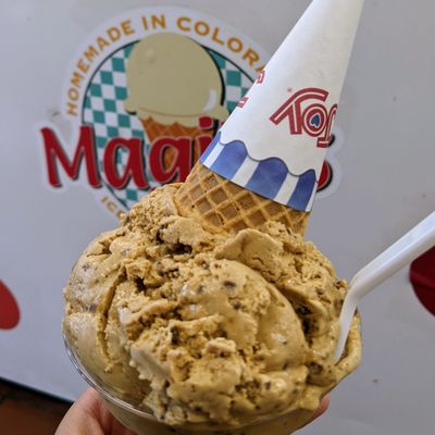 Magill's World of Ice Cream by null