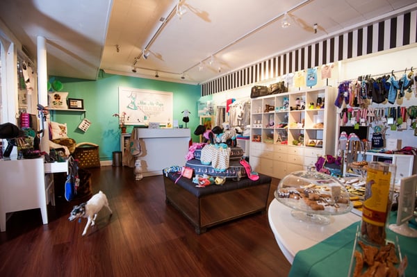 Bella & Lindy Pet Boutique by null