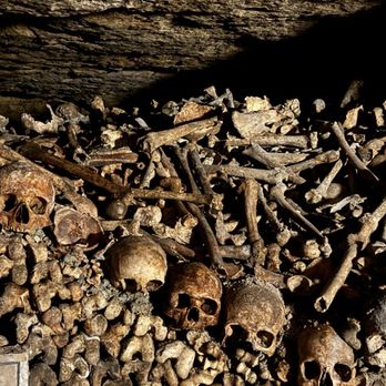 Les Catacombes de Paris - Local Flavor Near Me - Paris, 75 Les Catacombes de Paris - Local Flavor Near Me - Paris, 75