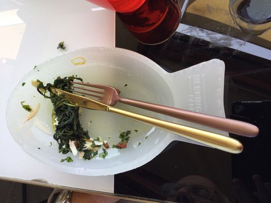 Madeiterraneo by null