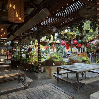 Elsewhere Garden Bar & Kitchen - Wine Bars Near Me - San Antonio, Texas