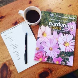 Deluxe Landscaping - Photo
