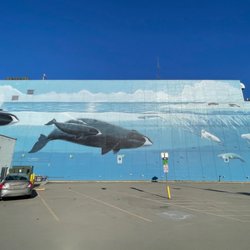 Alaska’s Marine Life