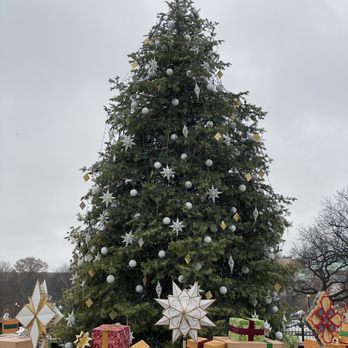National Christmas Tree - Local Flavor Near Me - Washington, DC, District of Columbia National Christmas Tree - Local Flavor Near Me - Washington, DC, District of Columbia