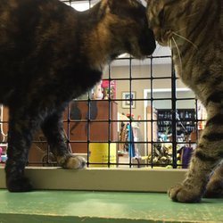 Spaymart