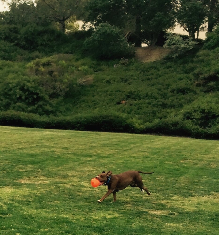 Business Park Recreational Facility - Zone 5