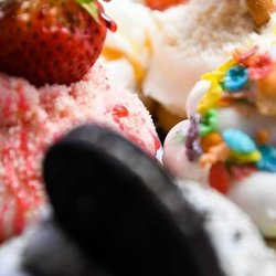 The Puddin Palace - Homemade Cupcakes