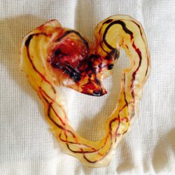 Stephanie Freeman - Silicon Valley Doulas - Cord Keepsake