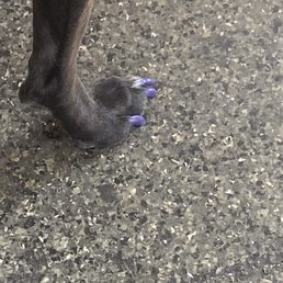 JuJu's Pedi JuJu's Pedi