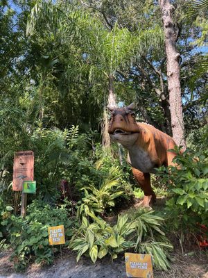 ZooTampa at Lowry Park by null