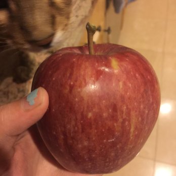 Ochs Orchard - Juicy gala apple we picked! - Fruits & Veggies Near Me - Warwick, New York